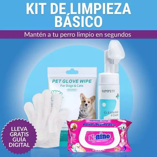 Kit de Limpieza Básico para después del Paseo