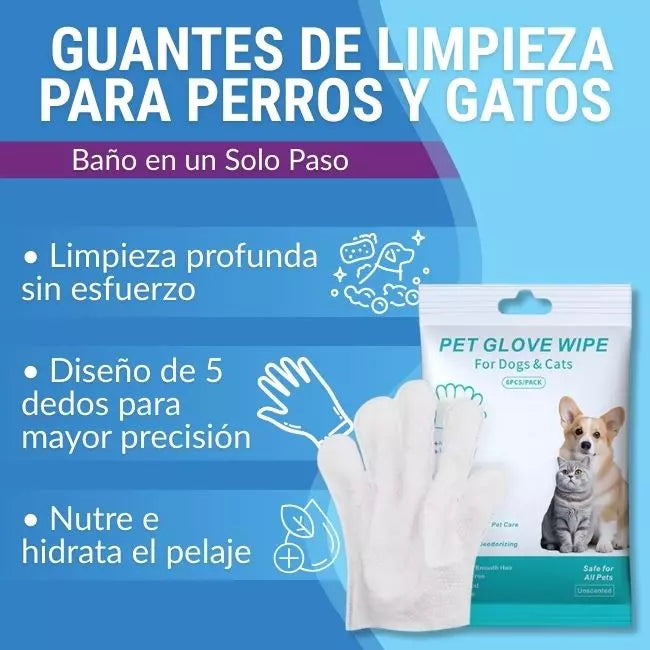 Kit de Limpieza Básico para después del Paseo