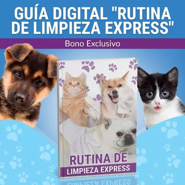 Kit de Limpieza Básico para después del Paseo